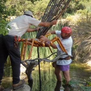 Big Bugs, Dragon Fly setup