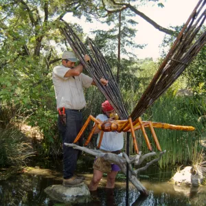 Big Bugs, Dragon Fly setup