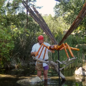 Big Bugs, Dragon Fly setup
