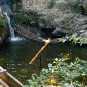 Big Bugs, damselfly in the pool beneath the Mission Dam