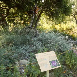 Big Bugs, giant bee an interpretive sign