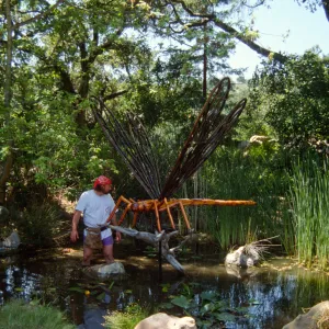 Big Bugs, Dragonfly installation in the pond