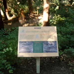 Big Bugs, Spider interpretive sign