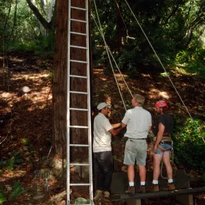 Big Bugs Spider Installation