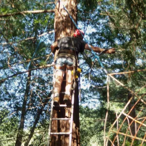 Big Bugs Spider Installation