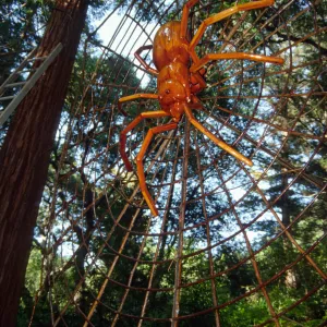 Big Bugs Spider Installation