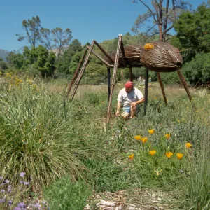 Big Bugs, Ant setup