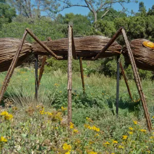 Big Bugs, Ant setup