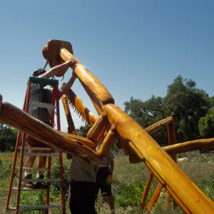 Big Bugs, Praying Mantis setup
