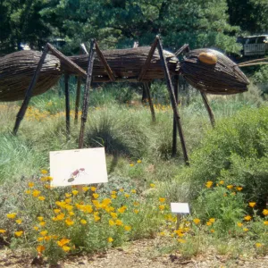 Big Bugs Ant sign and installation