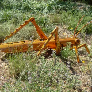 Big Bugs Grasshopper installation