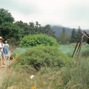 Big Bugs Ant installation