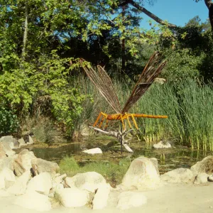 Big Bugs Dragonfly installation