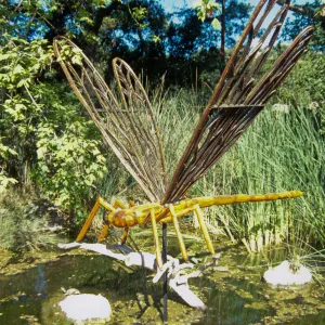 Big Bugs Dragonfly installation
