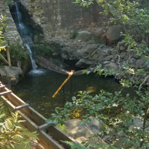 Big Bugs Damselfly installation