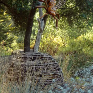 Big Bugs Honey Bee installation