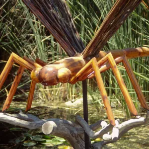 Big Bugs Dragonfly installation