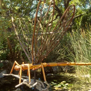 Big Bugs Dragonfly installation