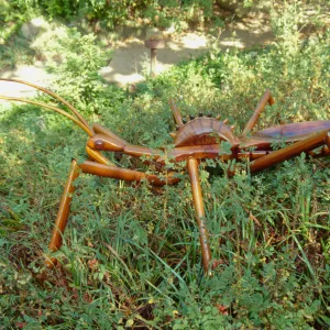 Big Bugs Assassin Bug installation