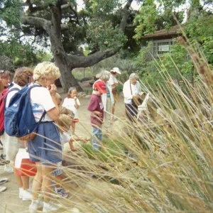 Big Bugs, docent tour by the Meadow Pond