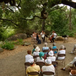 Music Academy of the West Concert, under the Meadow Oaks
