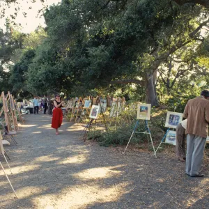 'Art Inspired in the Garden' fundraiser event, under the Meadow Oaks