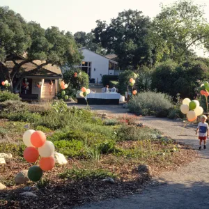 'Art Inspired in the Garden' fundraiser event, under the Meadow Oaks