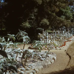 Gana Walska Cacti Garden