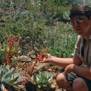 Dudleya NAPCC Evaluation, Bruce Reed