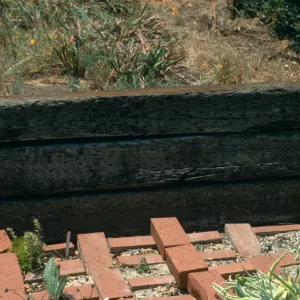 Dudleya NAPCC Evaluation