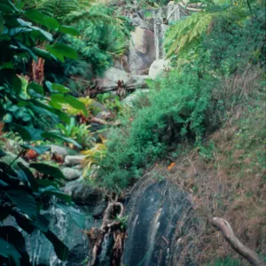 Mildred MacPherson Waterfall is one of the most popular spots in the garden.