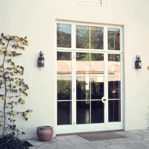 Fremontodendron flanking the Library entrance