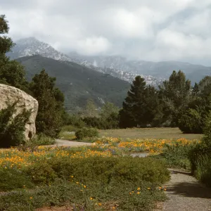 SBBG Meadow and mountain view, Blaksley Boulder
