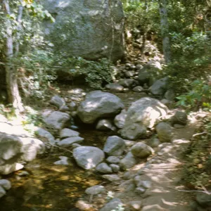 Mission Creek trail, SBBG