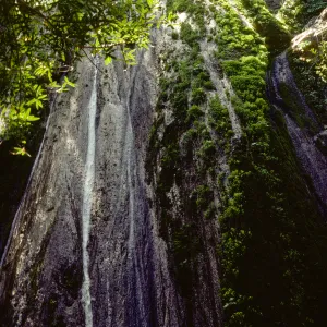 Rose Valley Falls, waterfall