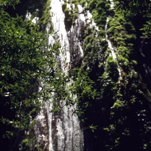Rose Valley Falls, waterfall