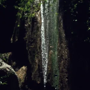 Rose Valley Lower Falls