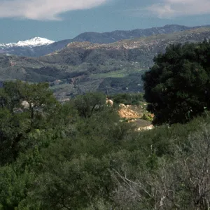 snow on San Rafael Mountains from West Camino Cielo