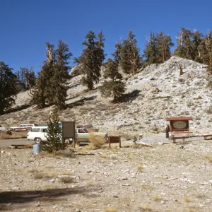 Schulman Park, White Mountains