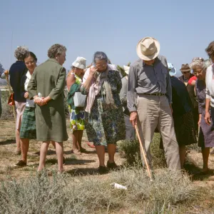 SBBG field trip, Mojave Desert , 1968