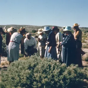 SBBG field trip, Mojave Desert , 1969
