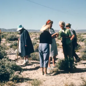 SBBG field trip, Mojave Desert , 1969