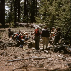 Mt Pinos - Audobon group at lunch