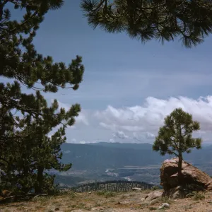 Mount Pinos to Lockwood Valley