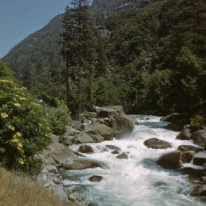 whitewater, South Fork Kings River, Elderberry and Pines