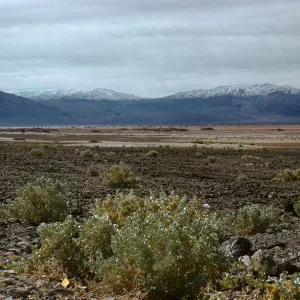 high desert, route to Scotty's Castle, snow on mountains