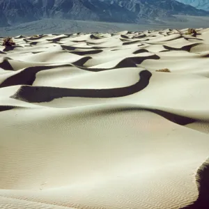 DV 70 'Sand dunes near Stovepipe Wells'