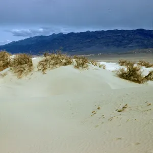 Sand Dunes, Funeral Mountains, Death Valley