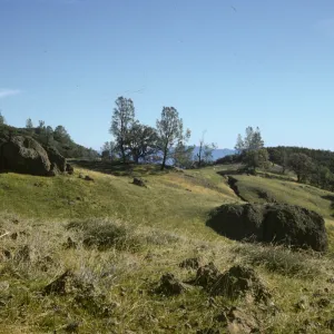 Figueroa Mountain