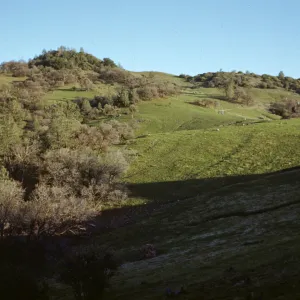 green hills, Happy Canyon Road, Figueroa Mountain